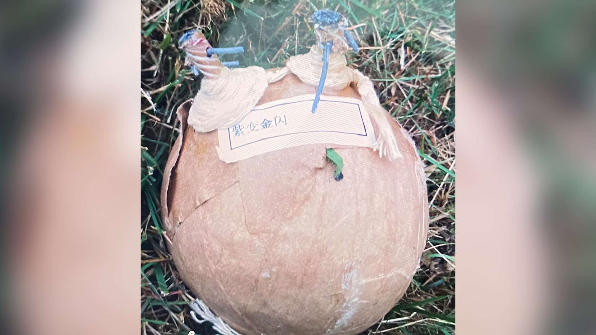 Altered illegal firework