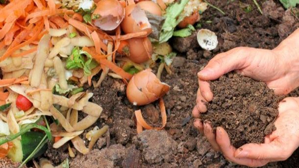 Hands holding soil next to scraps of food waste and compost