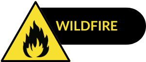 Wildfire