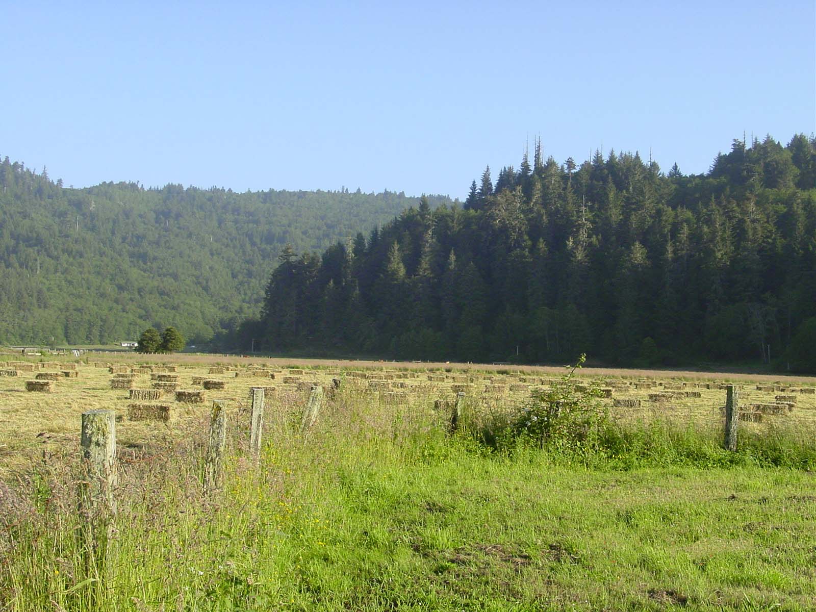 Photo of a fenced field containing bailed hay with two wooded ridges in the background
