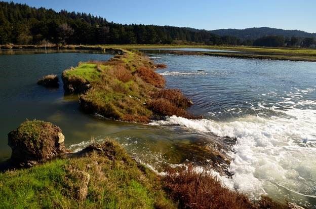 Dike overtopped during a king tide tidally inundating low-lying lands on South Bay