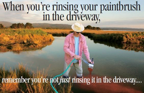 Person rinsing paintbrush in to sensitive marsh land.