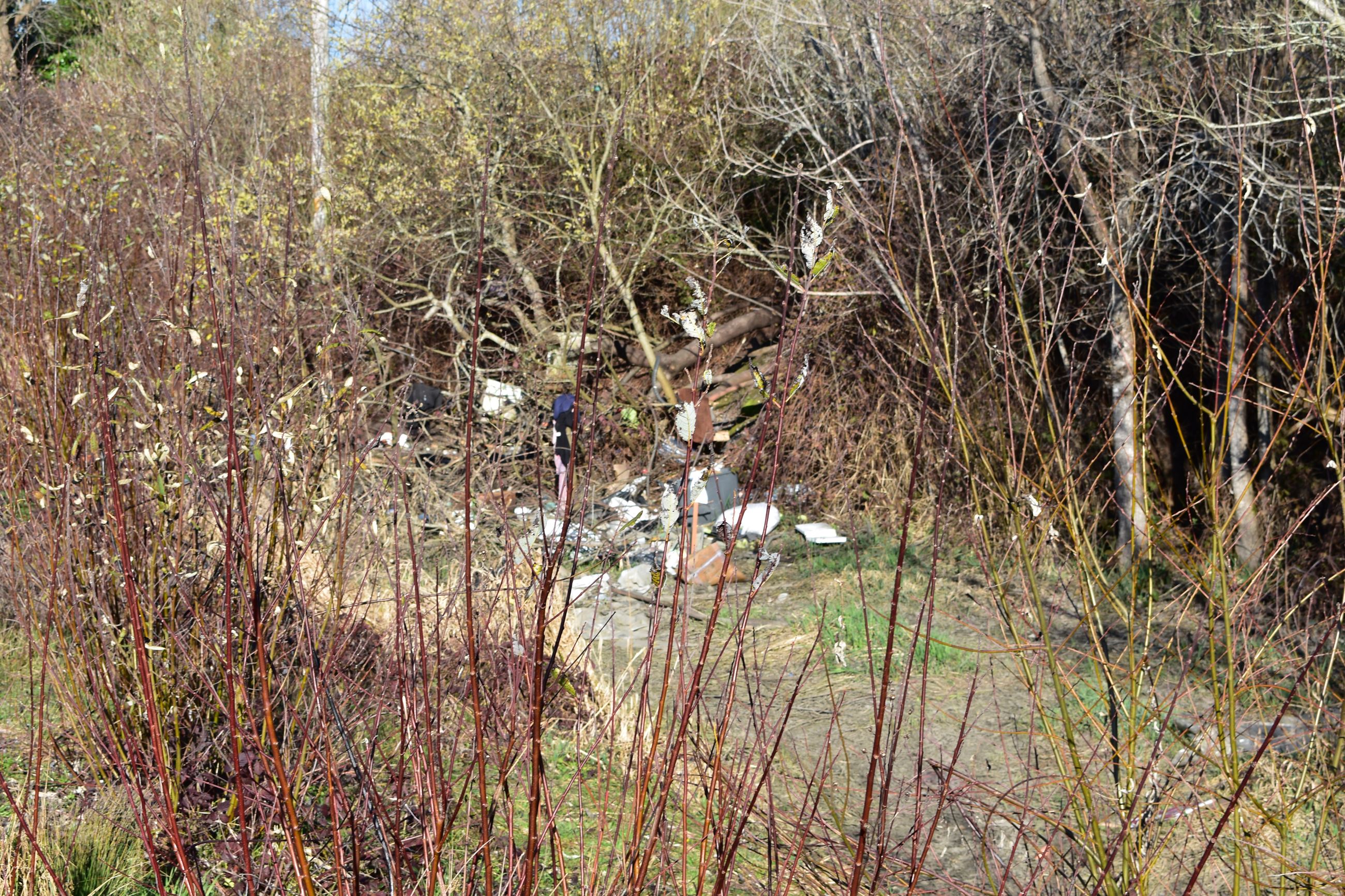 Wymore Road  01-30-2019 pic  (13)