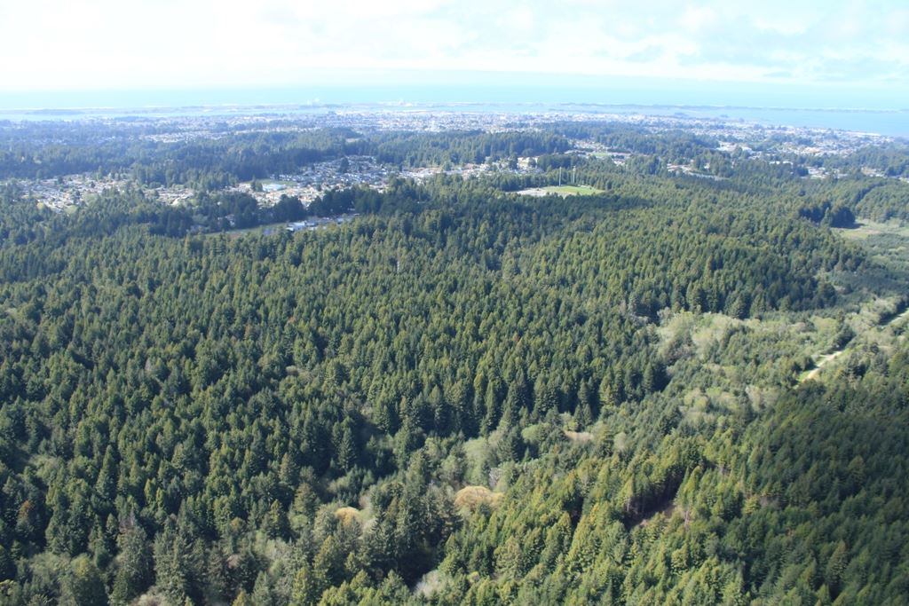 McKay Community Forest aerial photo