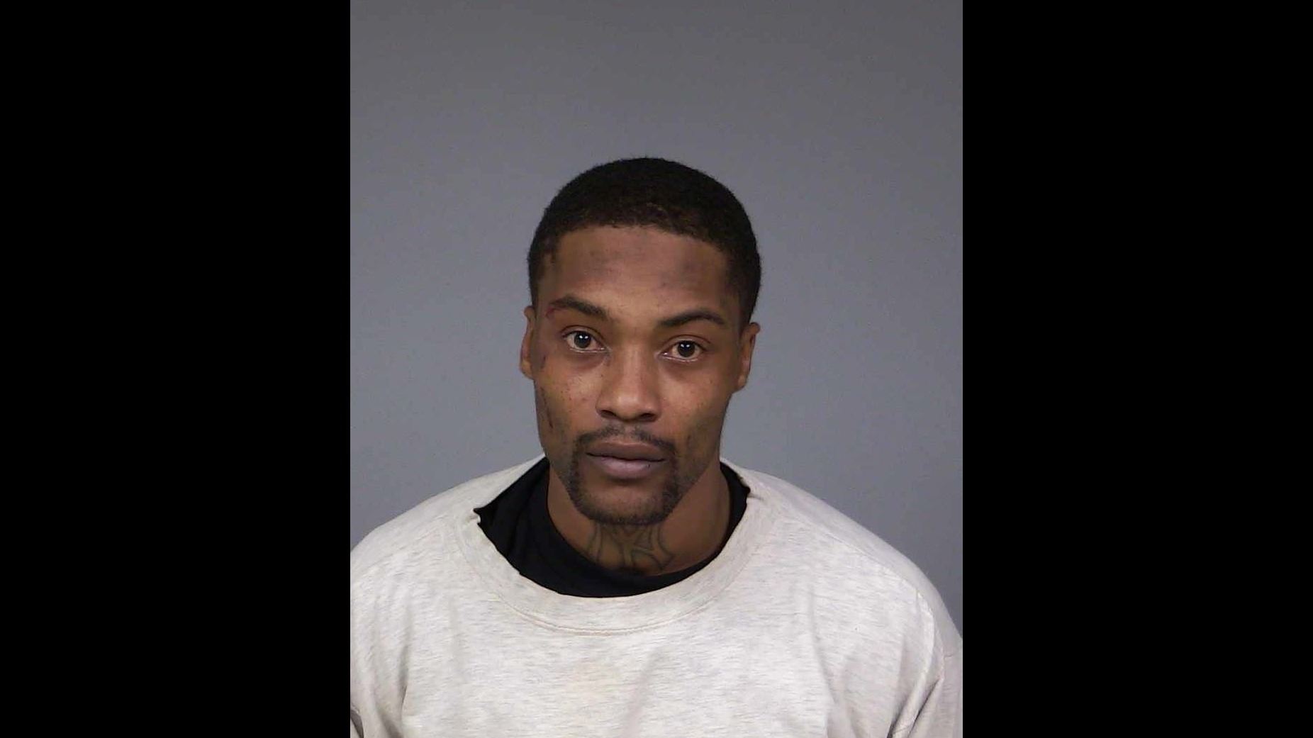 HUTSON booking photo