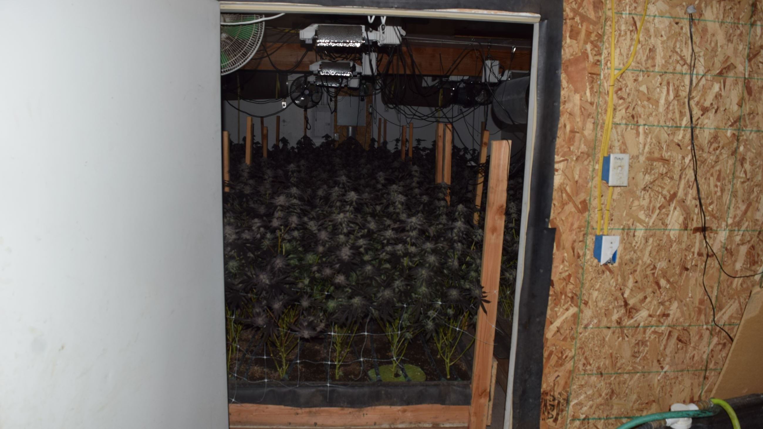 Growing marijuana inside a storage unit