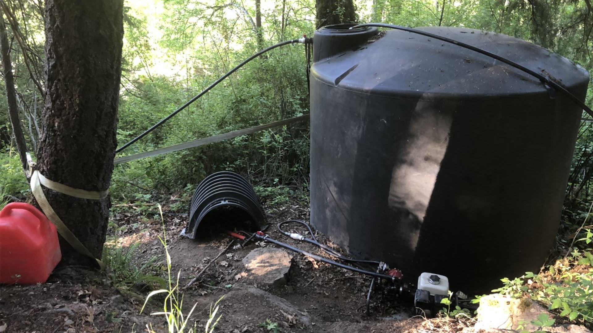 Water storage fed through surface water diversion