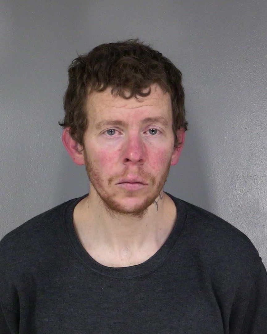 Blevins Booking Photo