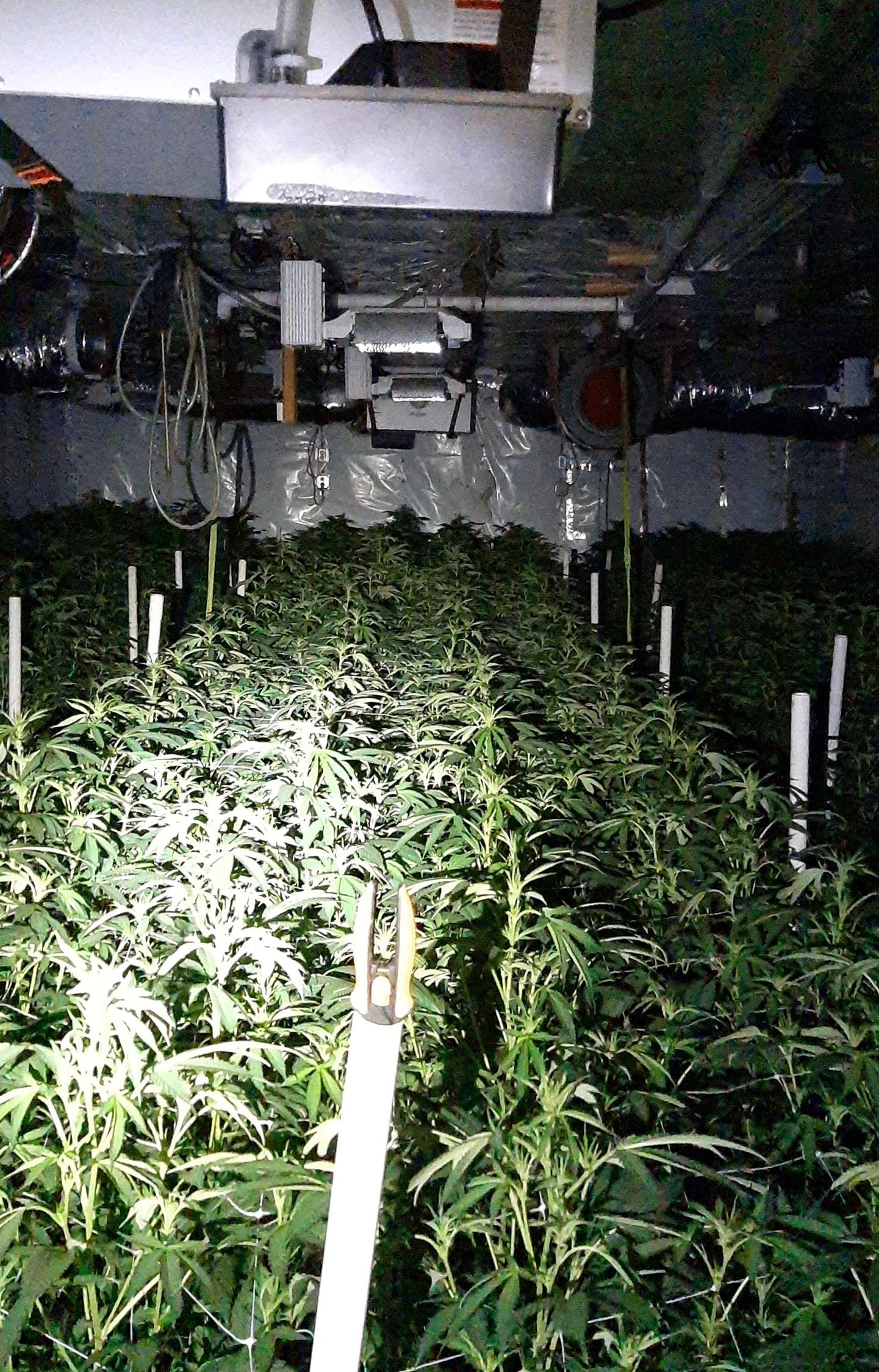 Indoor cannabis cultivation