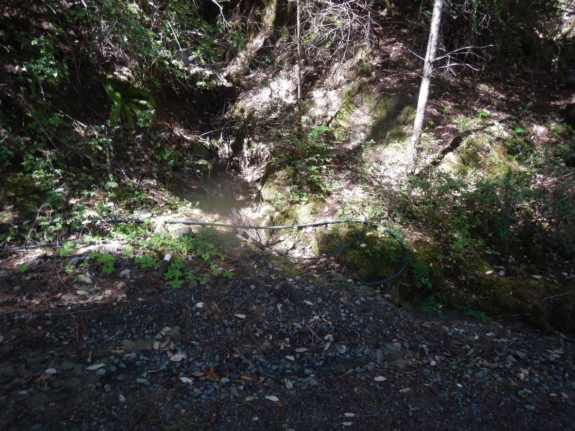 Class III watercourse, diverted into ditch.
