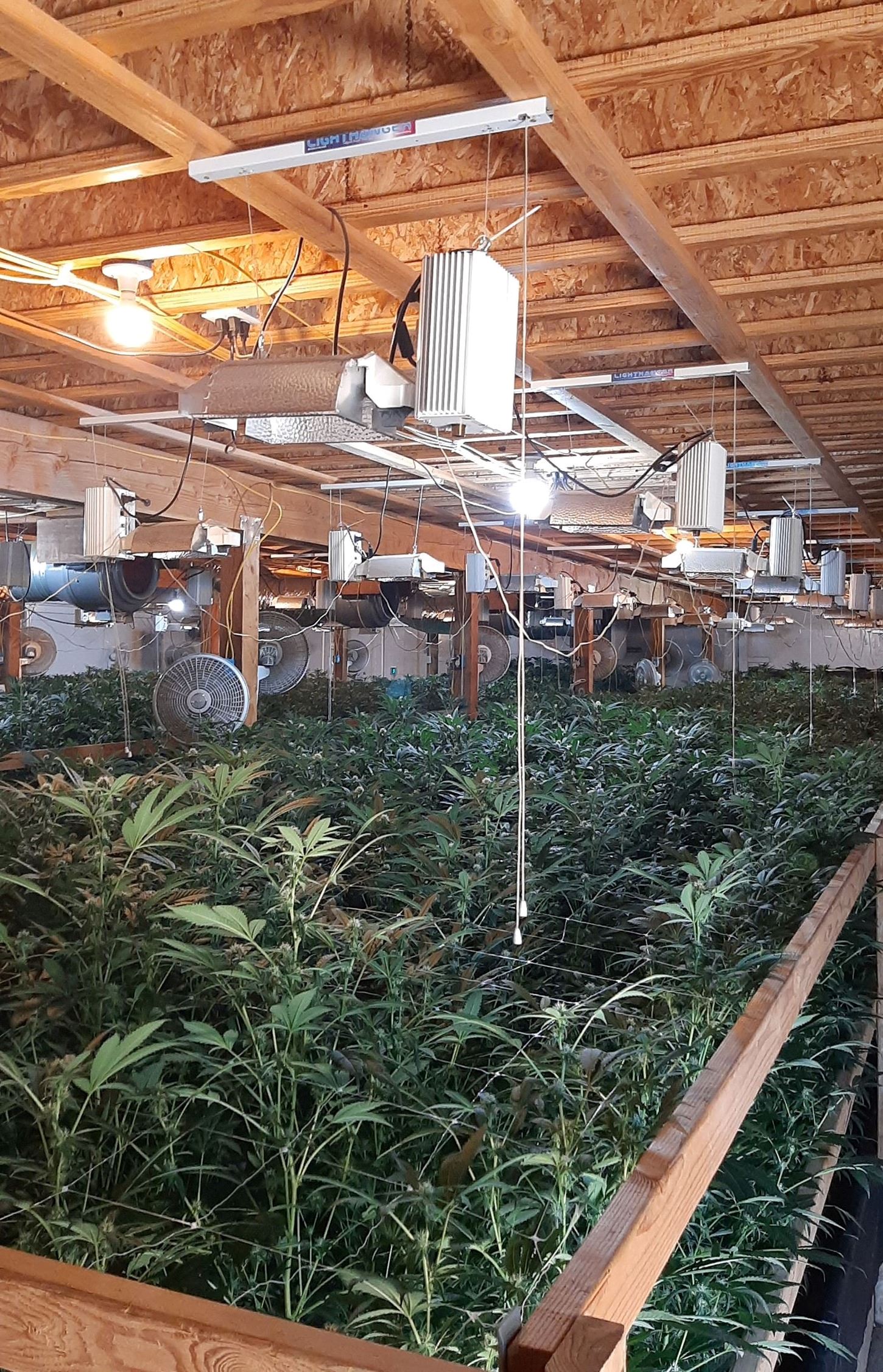 Indoor cannabis cultivation