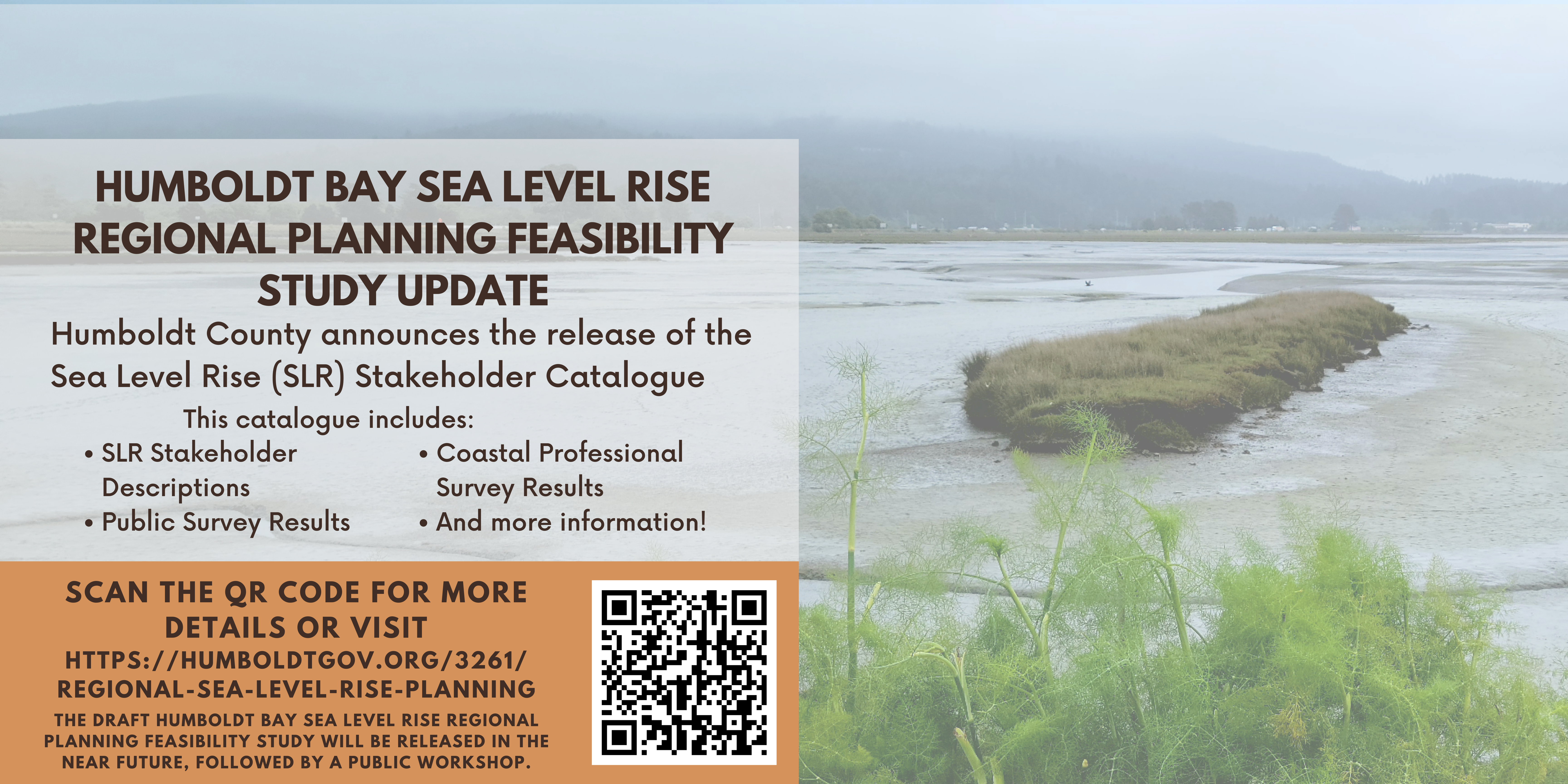 Sea Level Rise Catalog Release Information