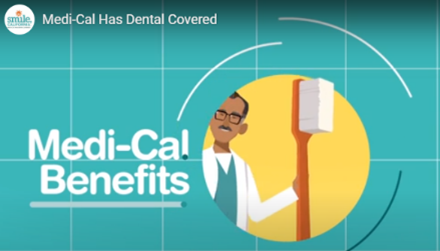 Smile California videos Opens in new window