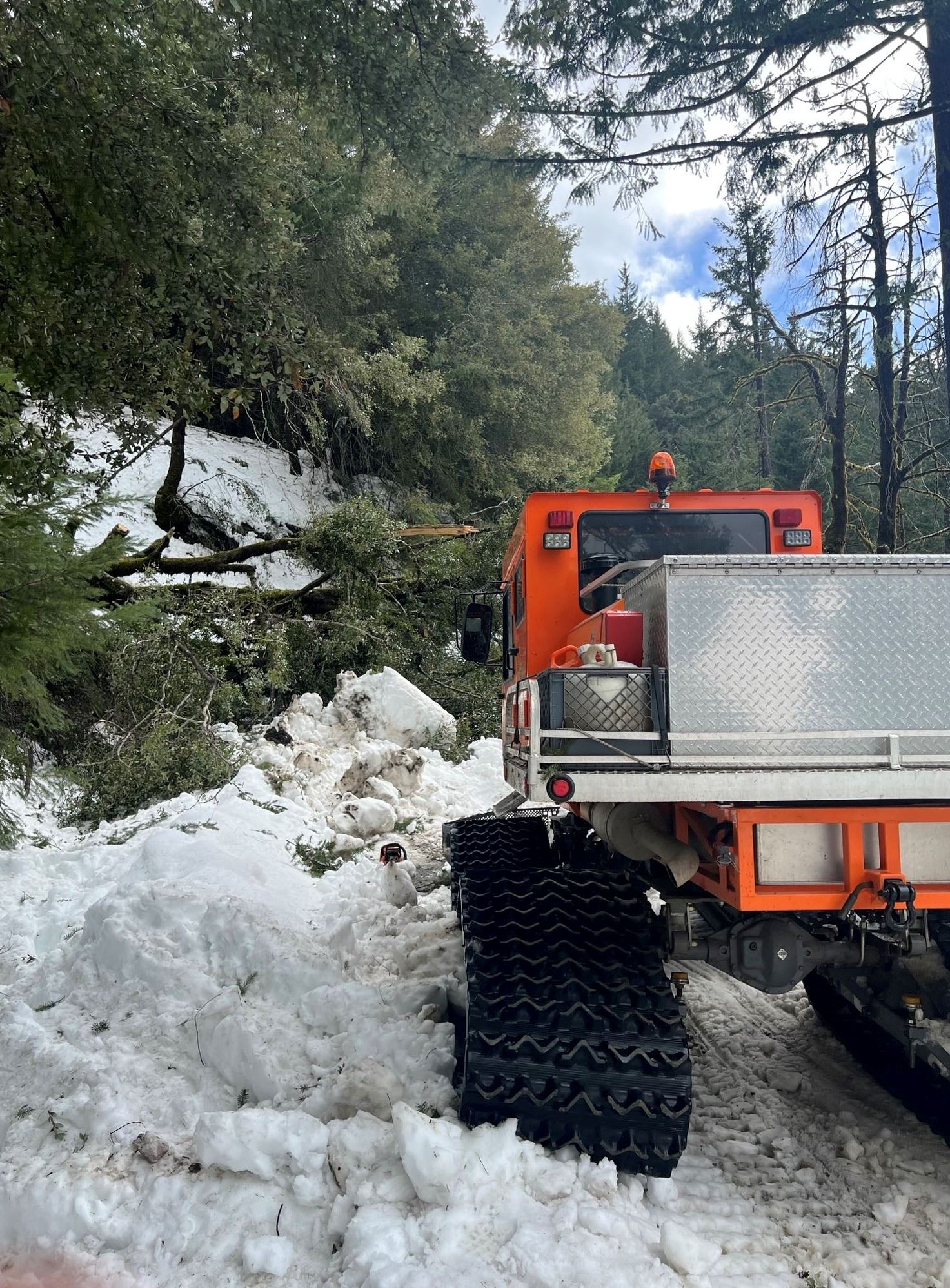 Sheriff's SnoCat in front of a downed tree
