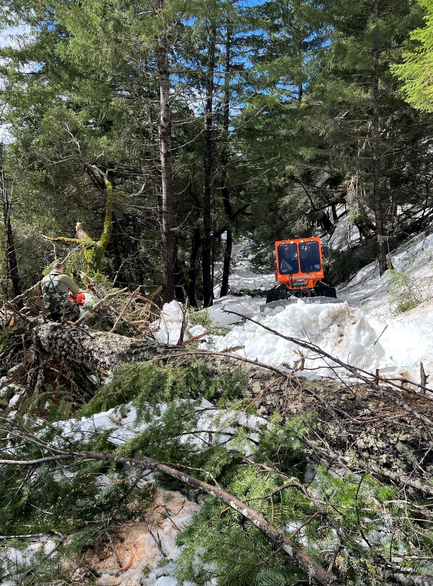Downed tree blocking access of Sheriff's SnoCat