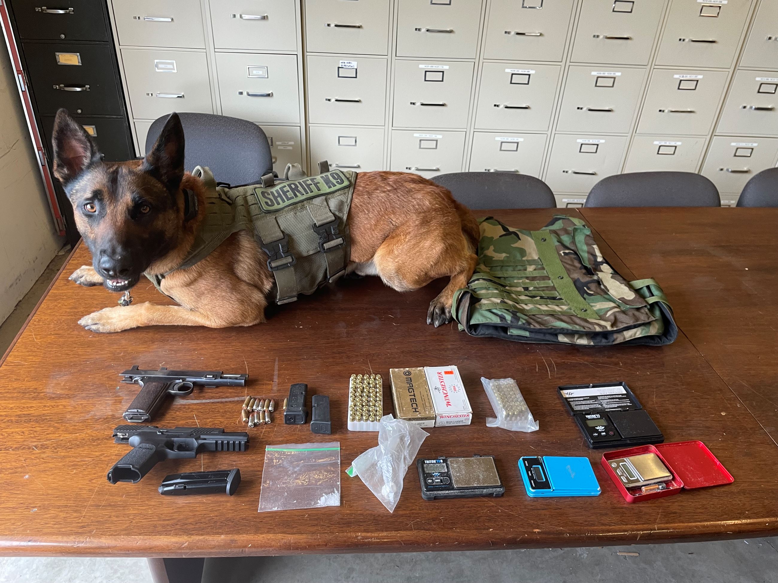 HCSO K9 with seized items