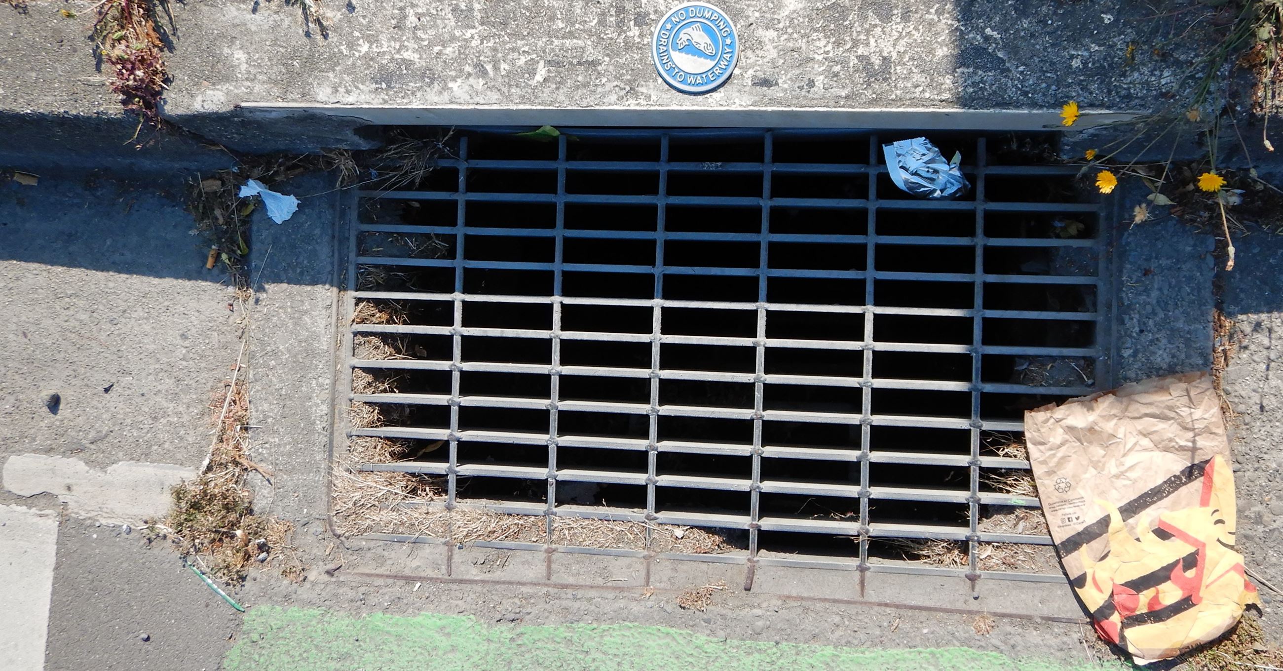 litter at storm drain