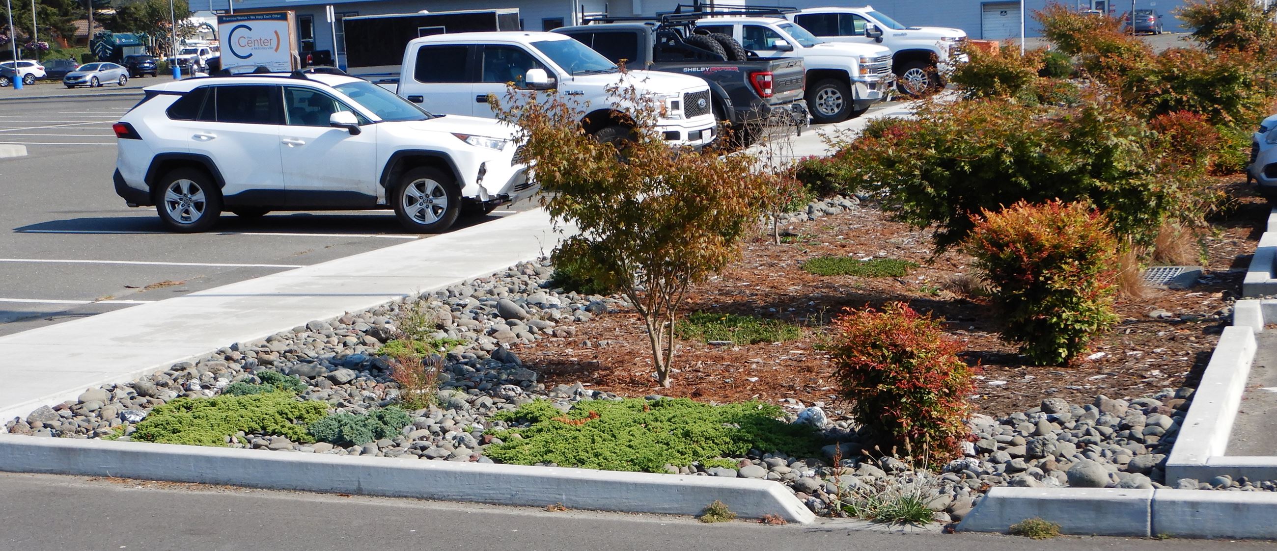 Parking lot bioretention feature.