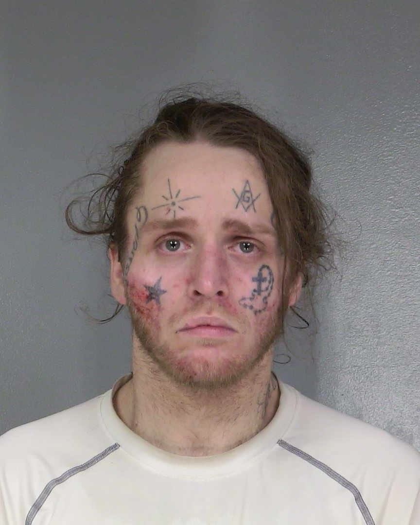 WILLIAMS booking photo