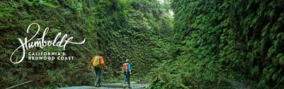Two People Hiking in Fern Canyon Located in Humboldt County