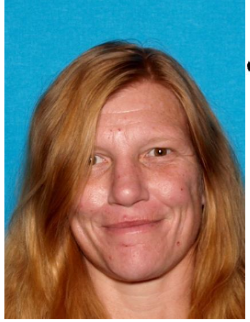 Michelle Inboden - Drivers License photo