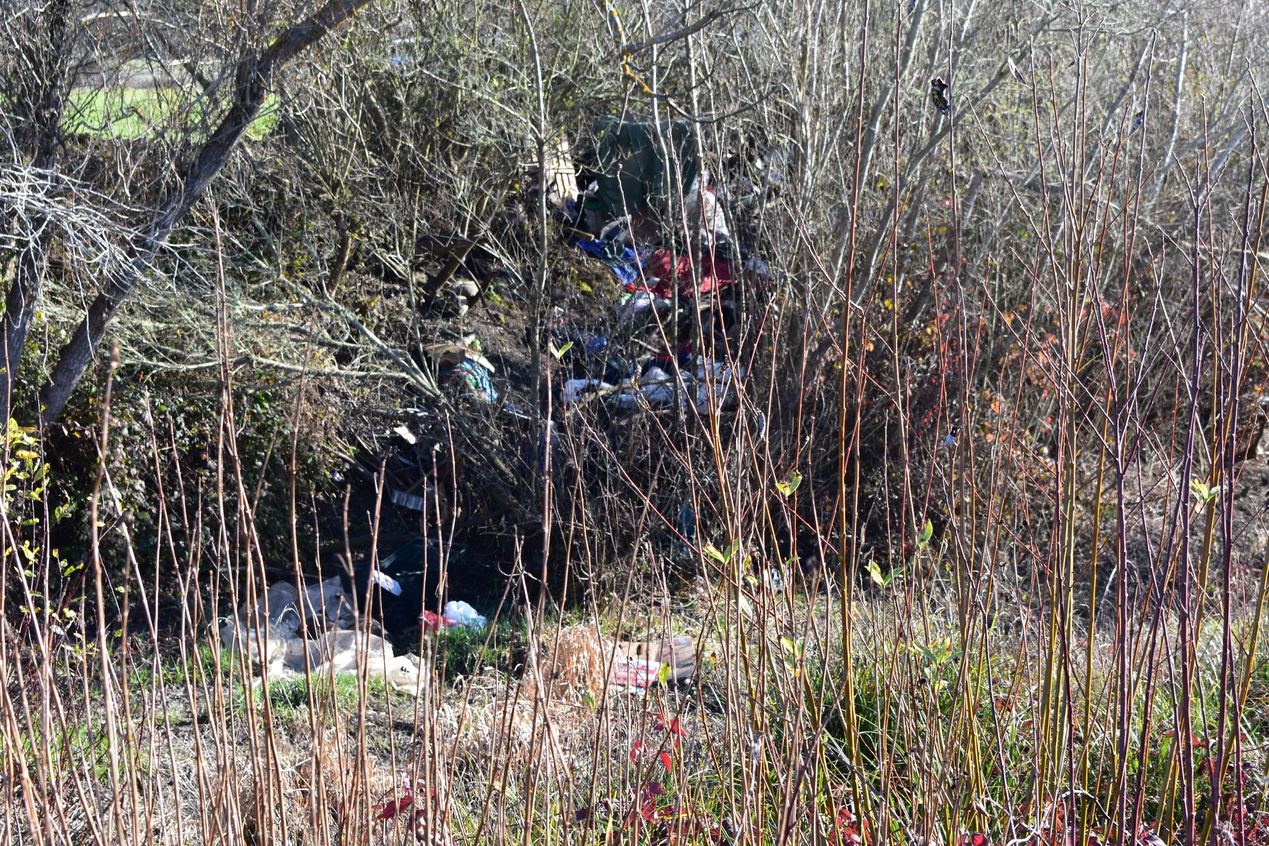 Wymore Road 01-30-2019 pic (14)