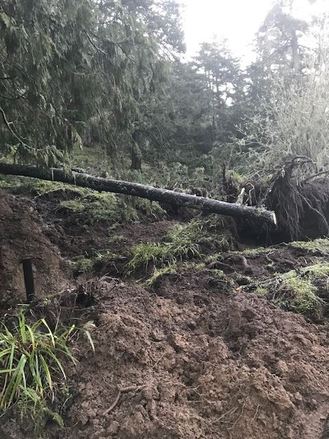 Williams Creek Road 02_27_19