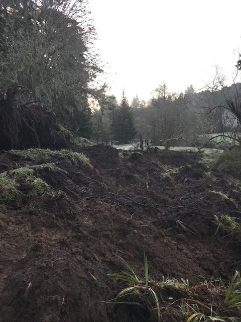 Williams Creek Road2 02_27_19