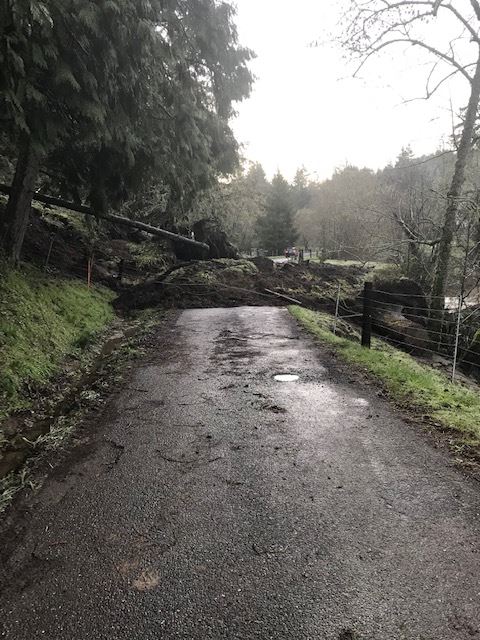 Williams Creek Road3 02_27_19