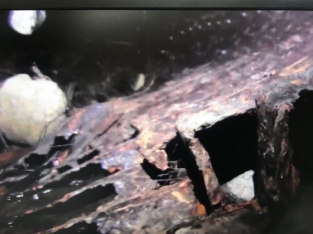 Briceland Thorne  from Video4 11_08_19