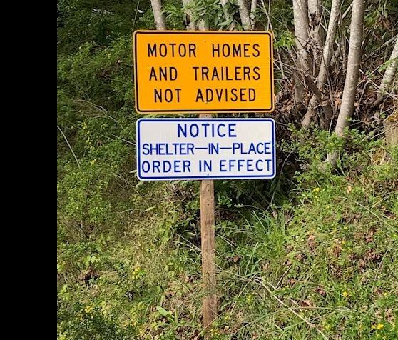 Bull Creek side of Mattole2