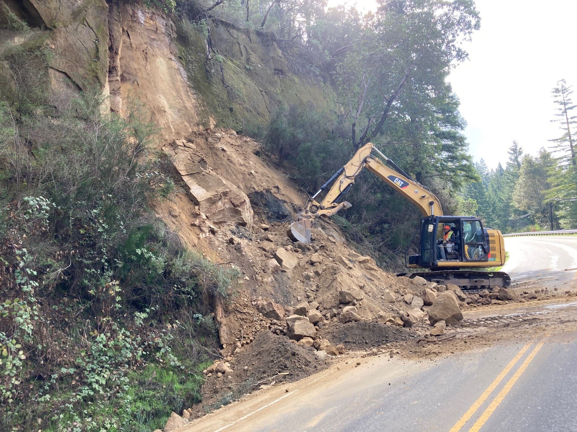 Slide on Redwood Drive #2
