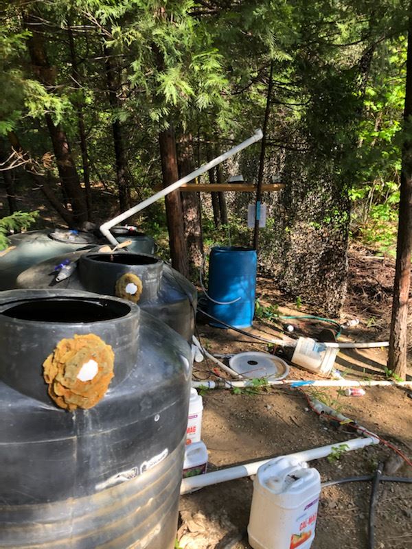 Miscellaneous hazardous materials on a cultivation site in Rancho Sequoia area.