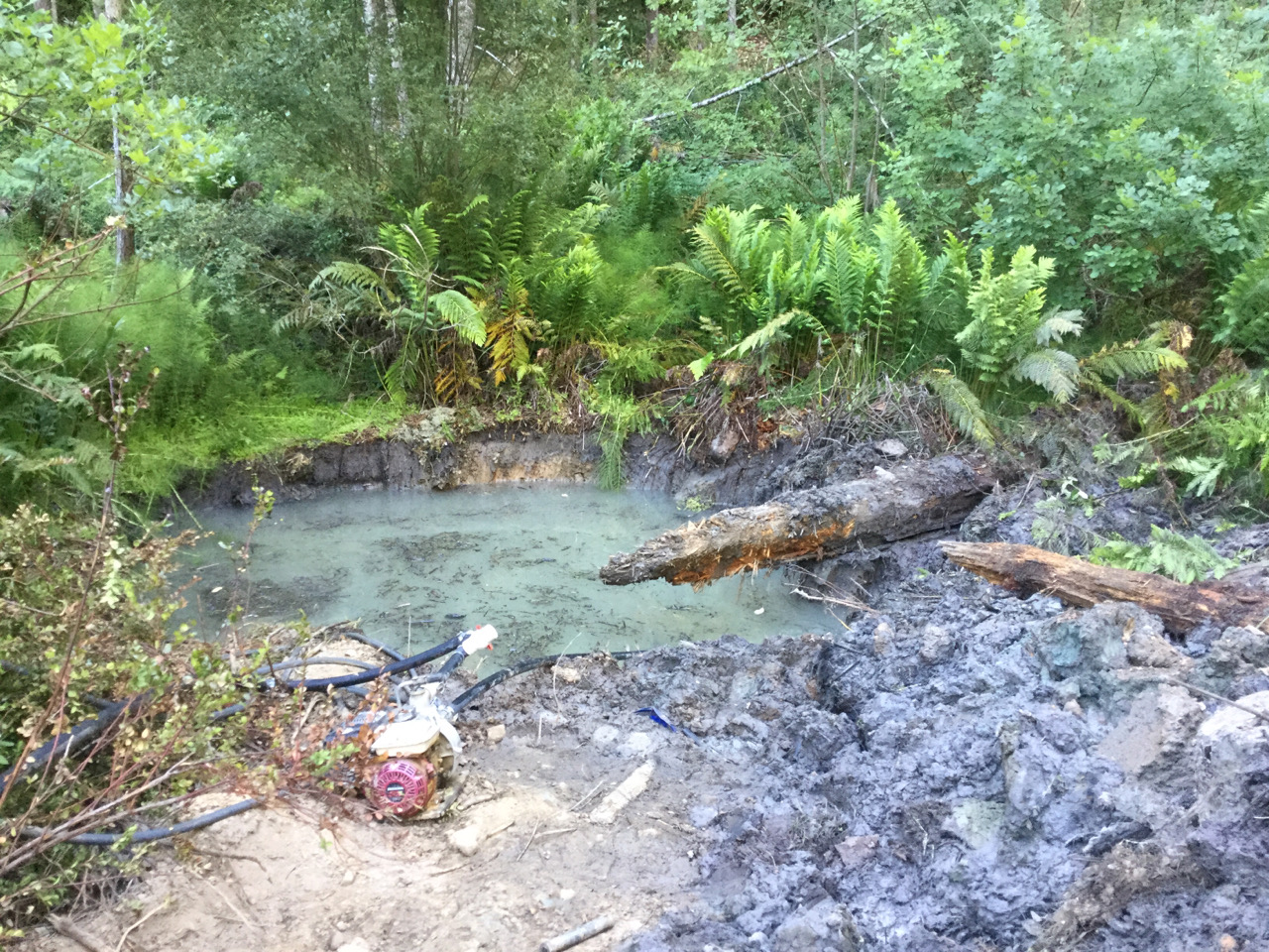 8 feet deep hole dug into creek bed diverting 100% of waterflow to illegal cultivation
