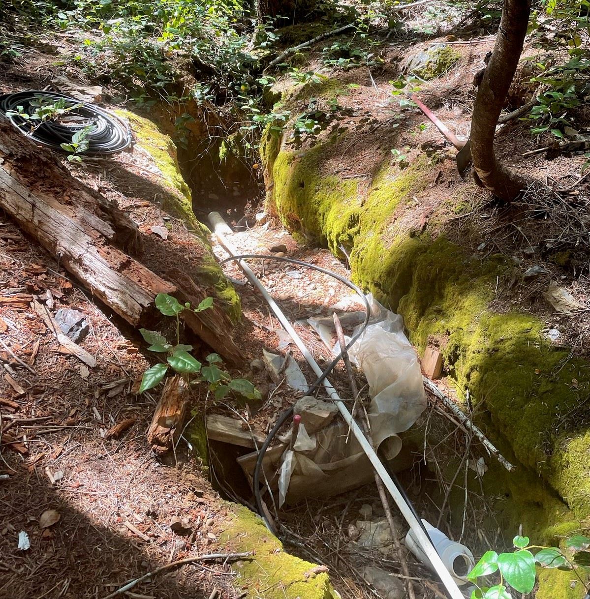Significant water diversion causing a creek to run dry.