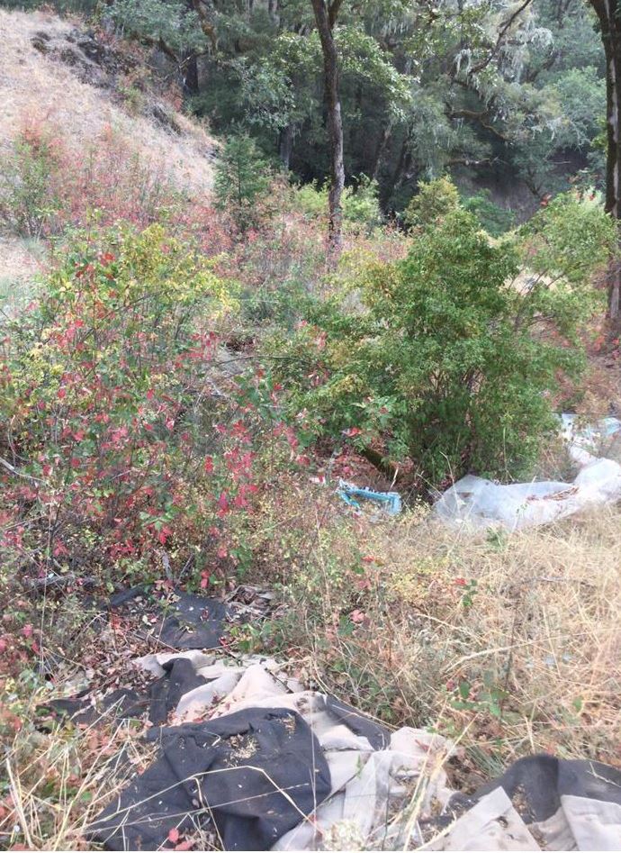 Trash associated with cannabis cultivation abandoned into and next to a season stream (2)