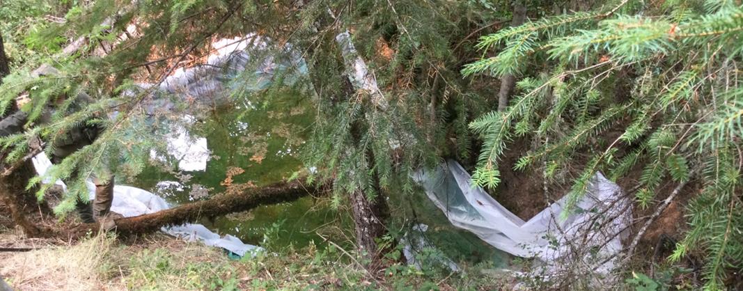 4_2 Trash and impoundment placed in tributary of little Larrabee Creek