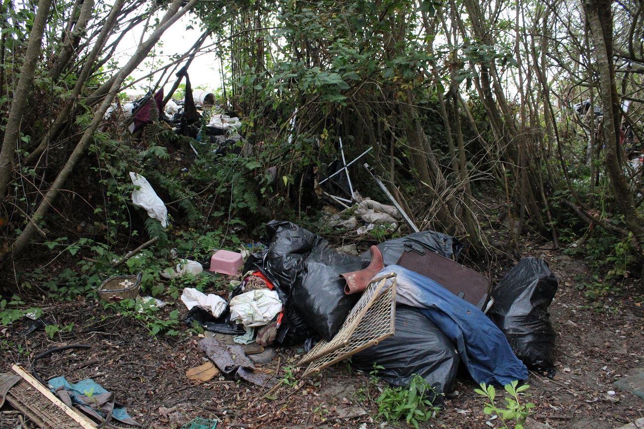 Samoa & V Street Clean-Up