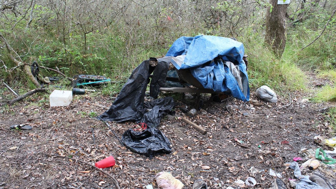 Samoa & V Street Clean-Up