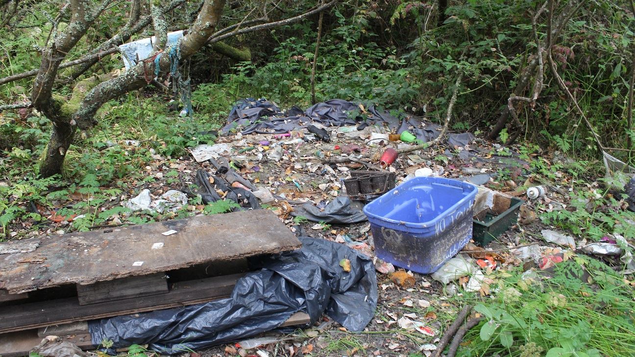 Samoa & V Street Clean-Up