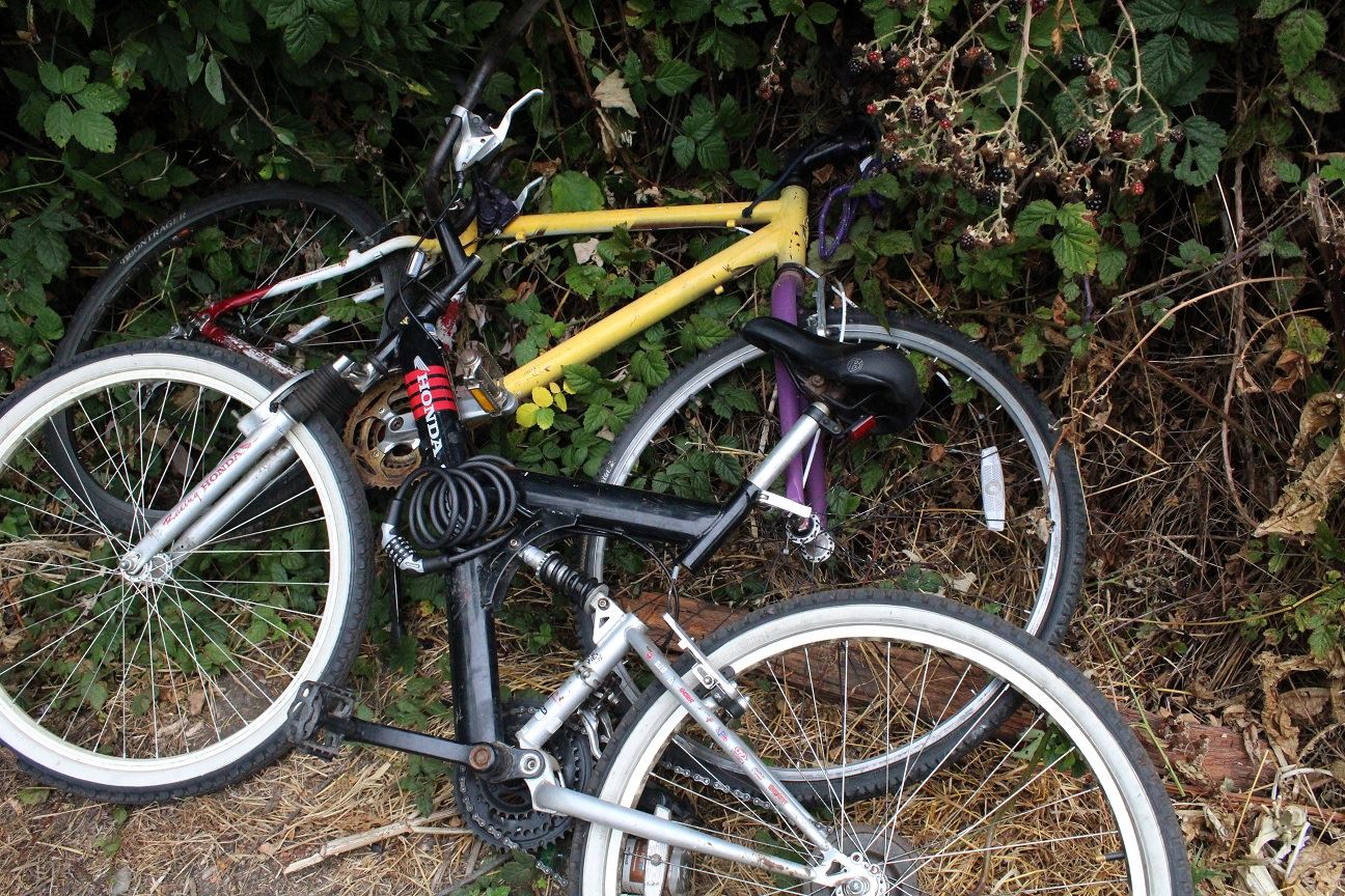 Samoa & V Street Clean-Up