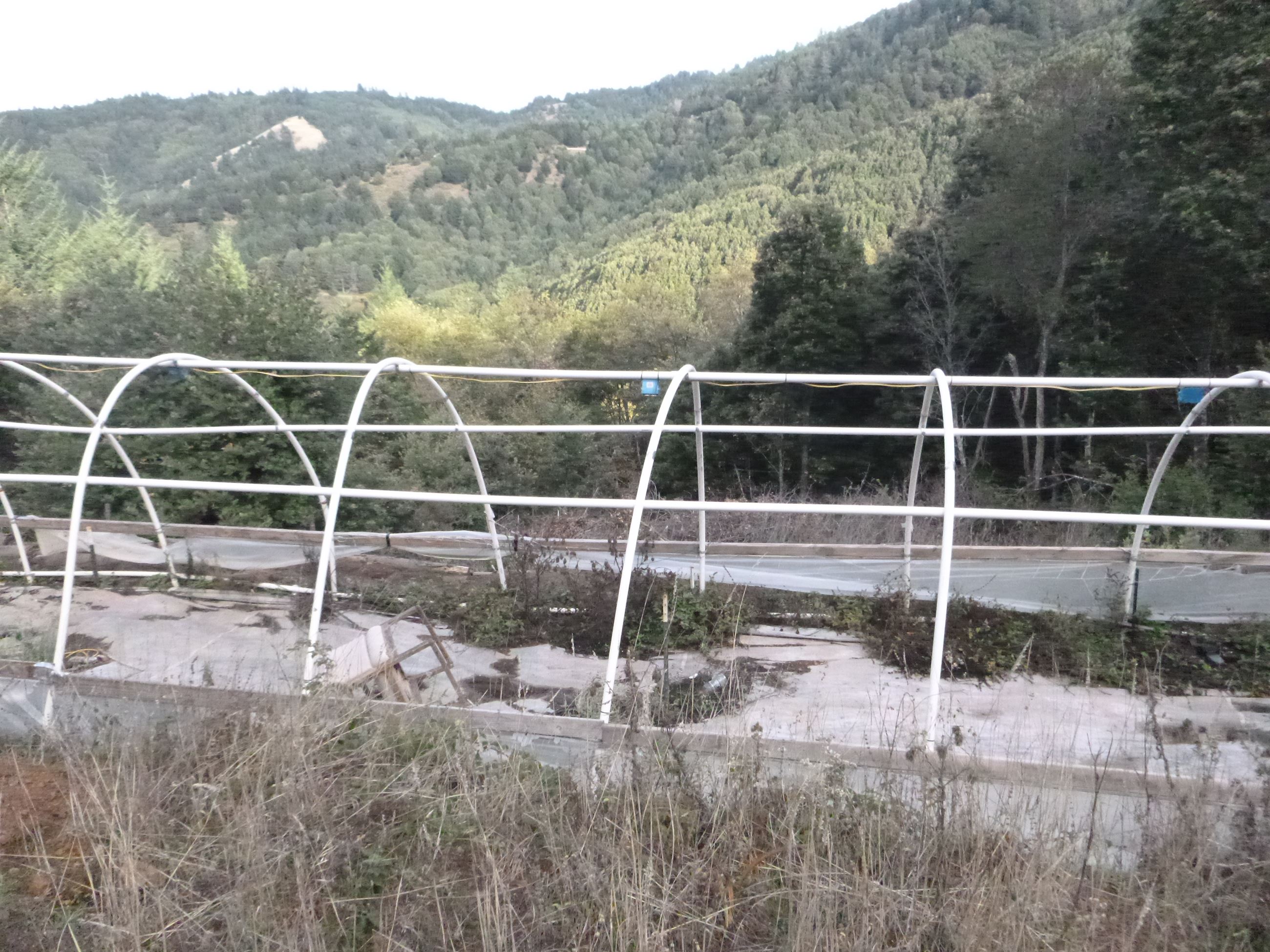 Marijuana Eradication - Case 201605245