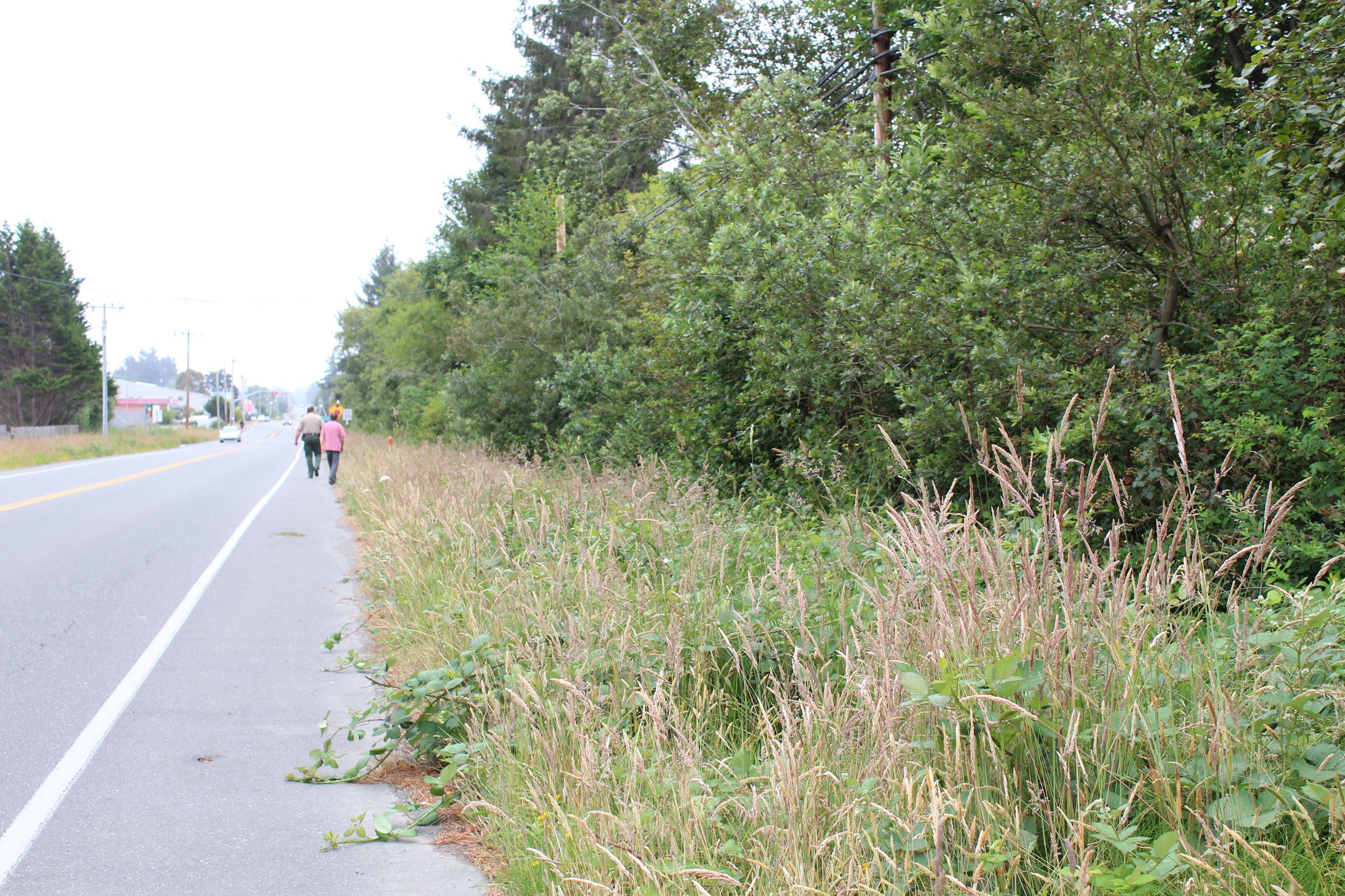 Central Avenue Camp #1