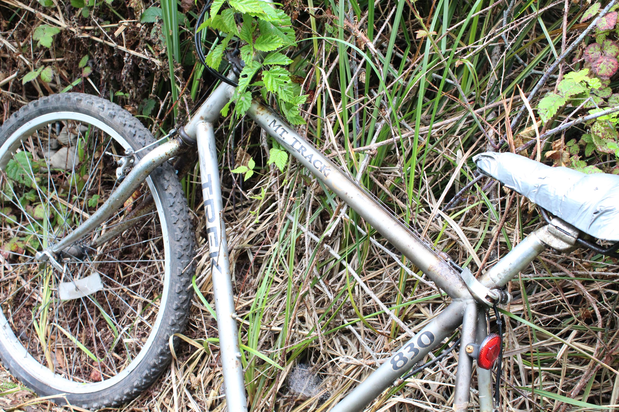 Central Avenue Camp #2