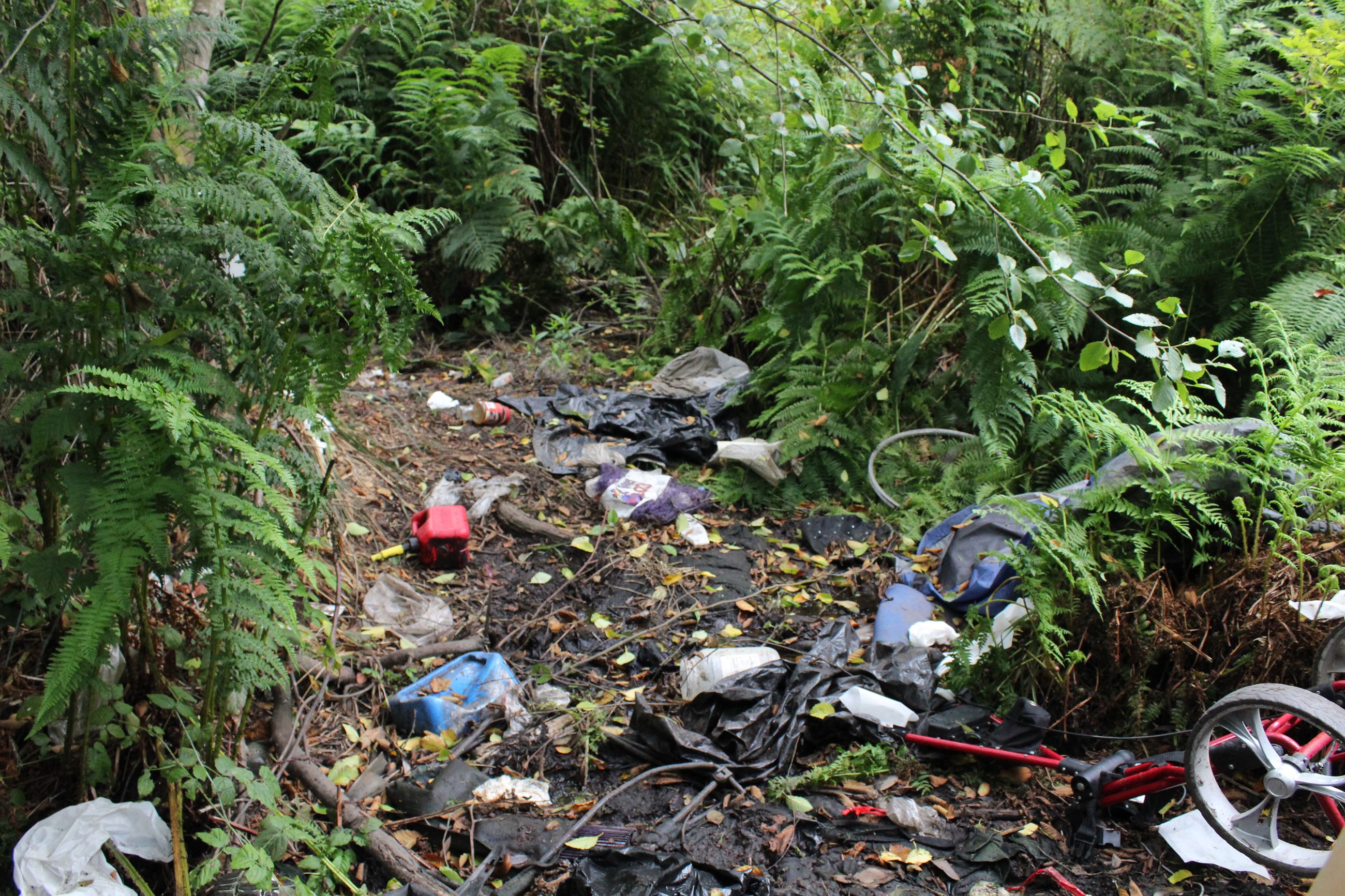 Central Avenue Camp #2