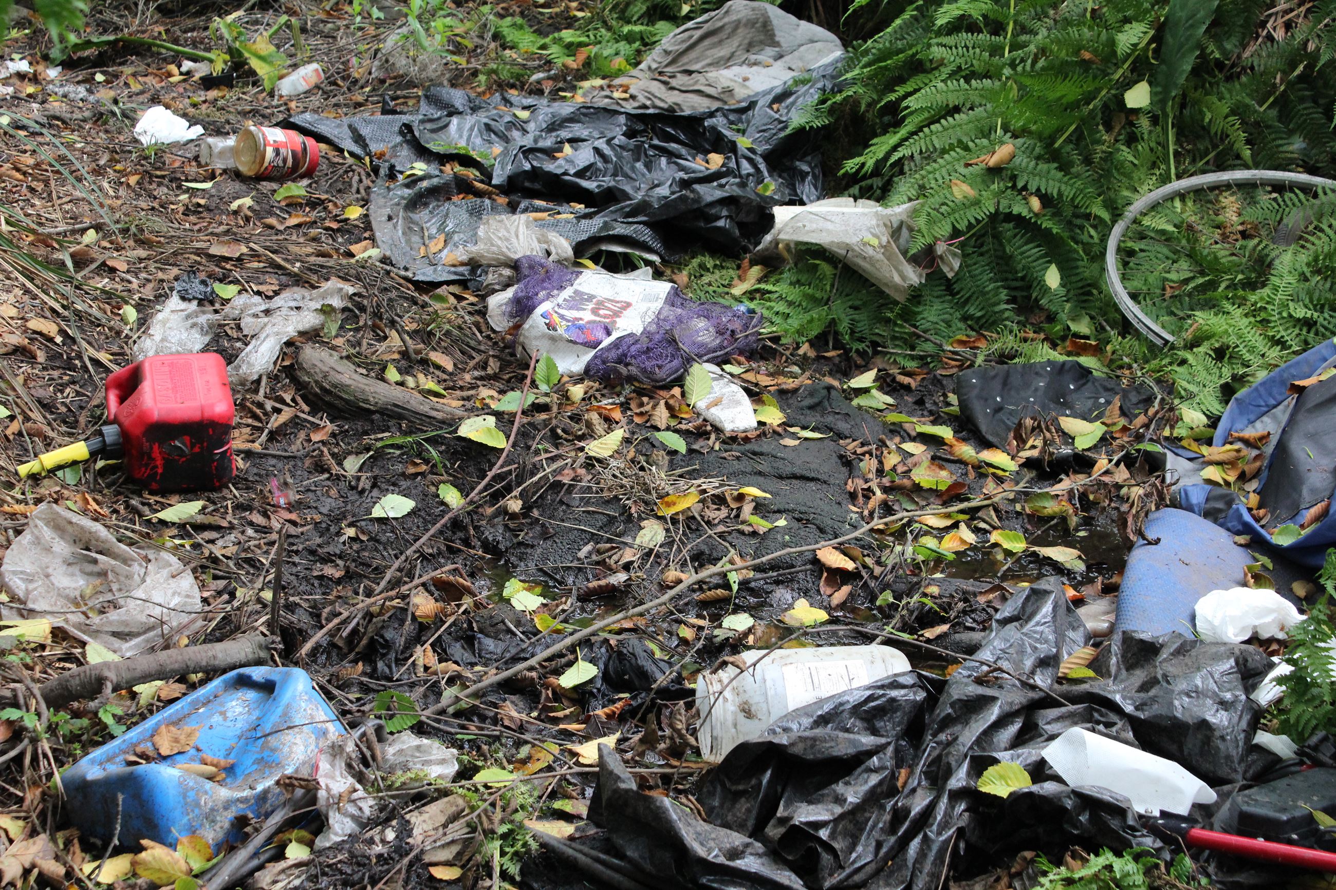 Central Avenue Camp #2