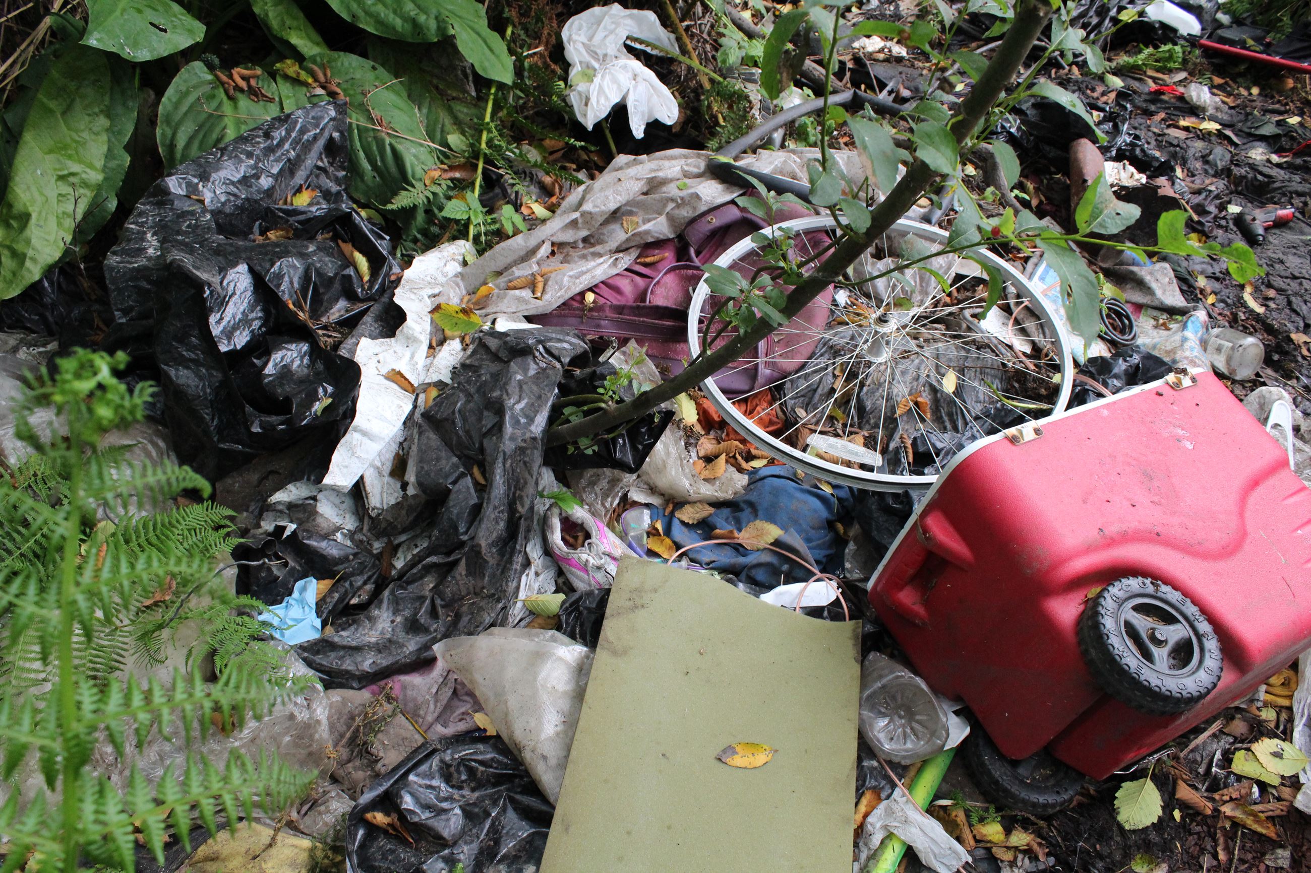 Central Avenue Camp #2