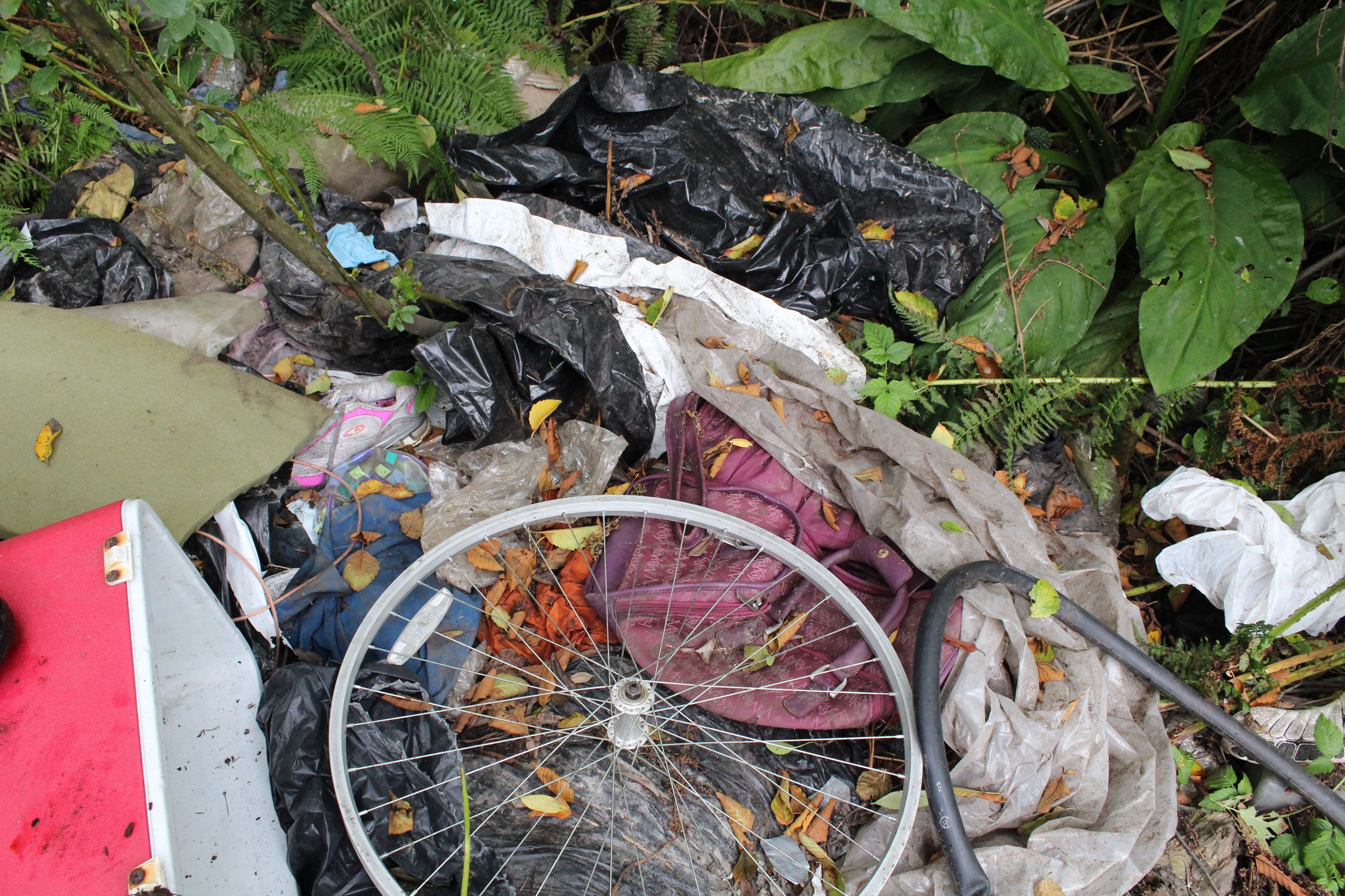 Central Avenue Camp #2