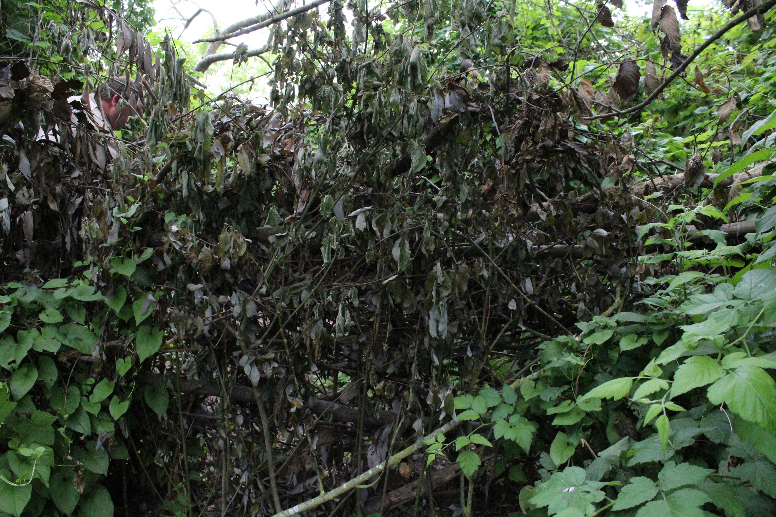 Mad River Campsite #1