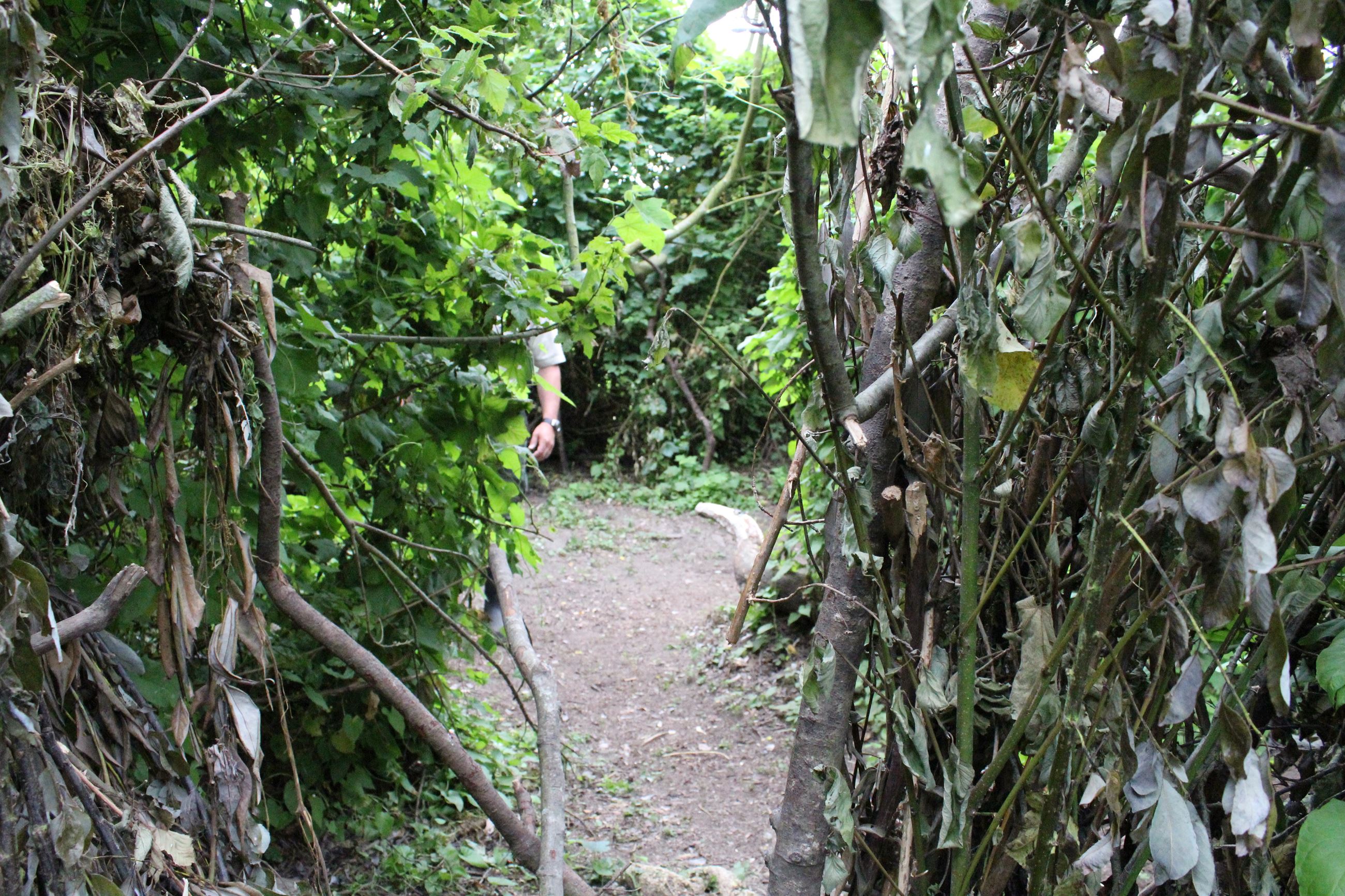 Mad River Campsite #1